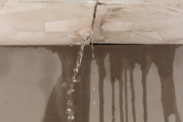 Professional Water Damage Repair technician working in Webster, TX